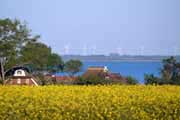 Blick auf den Saaler Bodden - Bild vergrößern ...