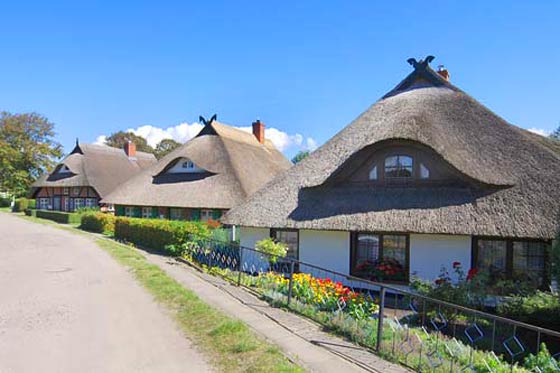 zurück zu Fischland und Ostseebäder ...